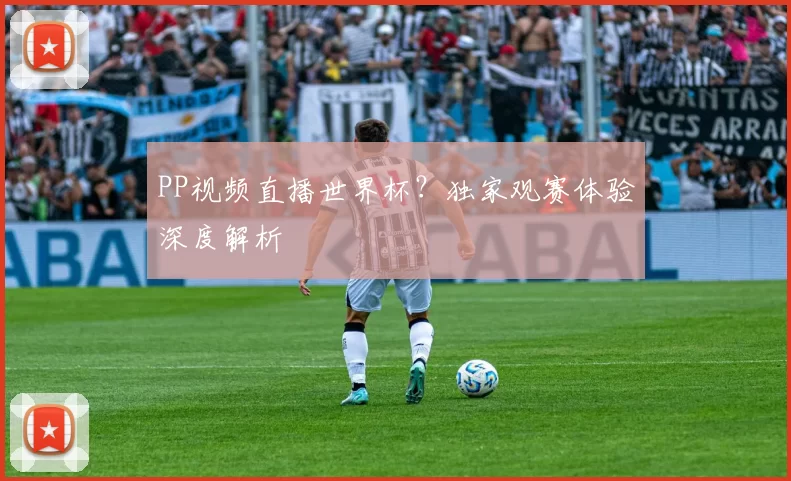 PP视频直播世界杯?独家观赛体验深度解析