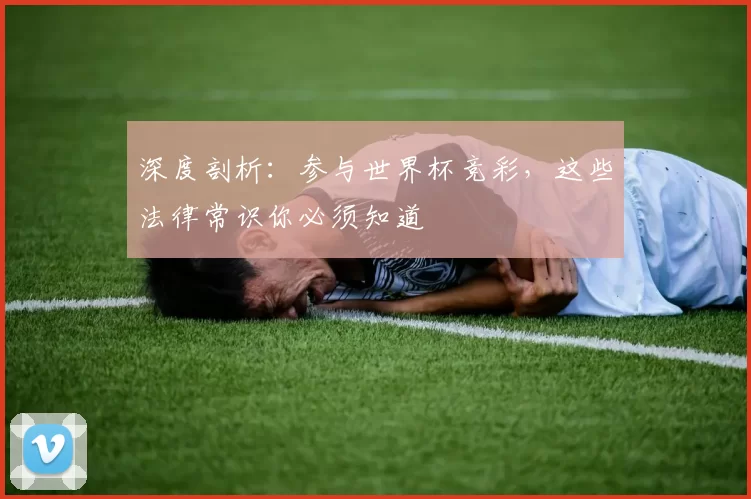 深度剖析:参与世界杯竞彩,这些法律常识你必须知道