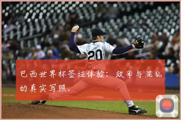 巴西世界杯签证体验:效率与混乱的真实写照。