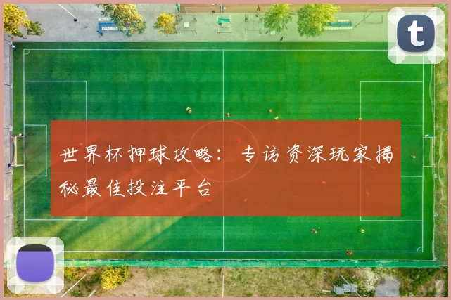 世界杯押球攻略:专访资深玩家揭秘最佳投注平台