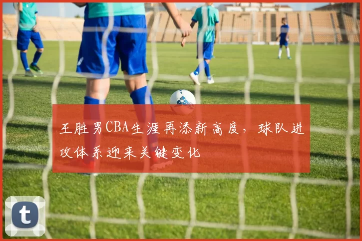 王胜男CBA生涯再添新高度，球队进攻体系迎来关键变化