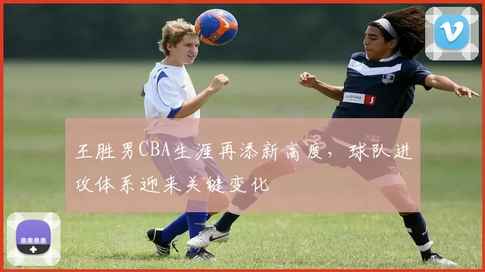 王胜男CBA生涯再添新高度，球队进攻体系迎来关键变化