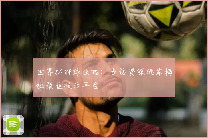 世界杯押球攻略：专访资深玩家揭秘最佳投注平台
