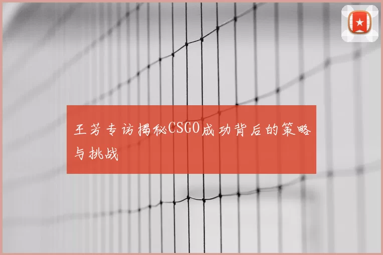 王芳专访揭秘CSGO成功背后的策略与挑战